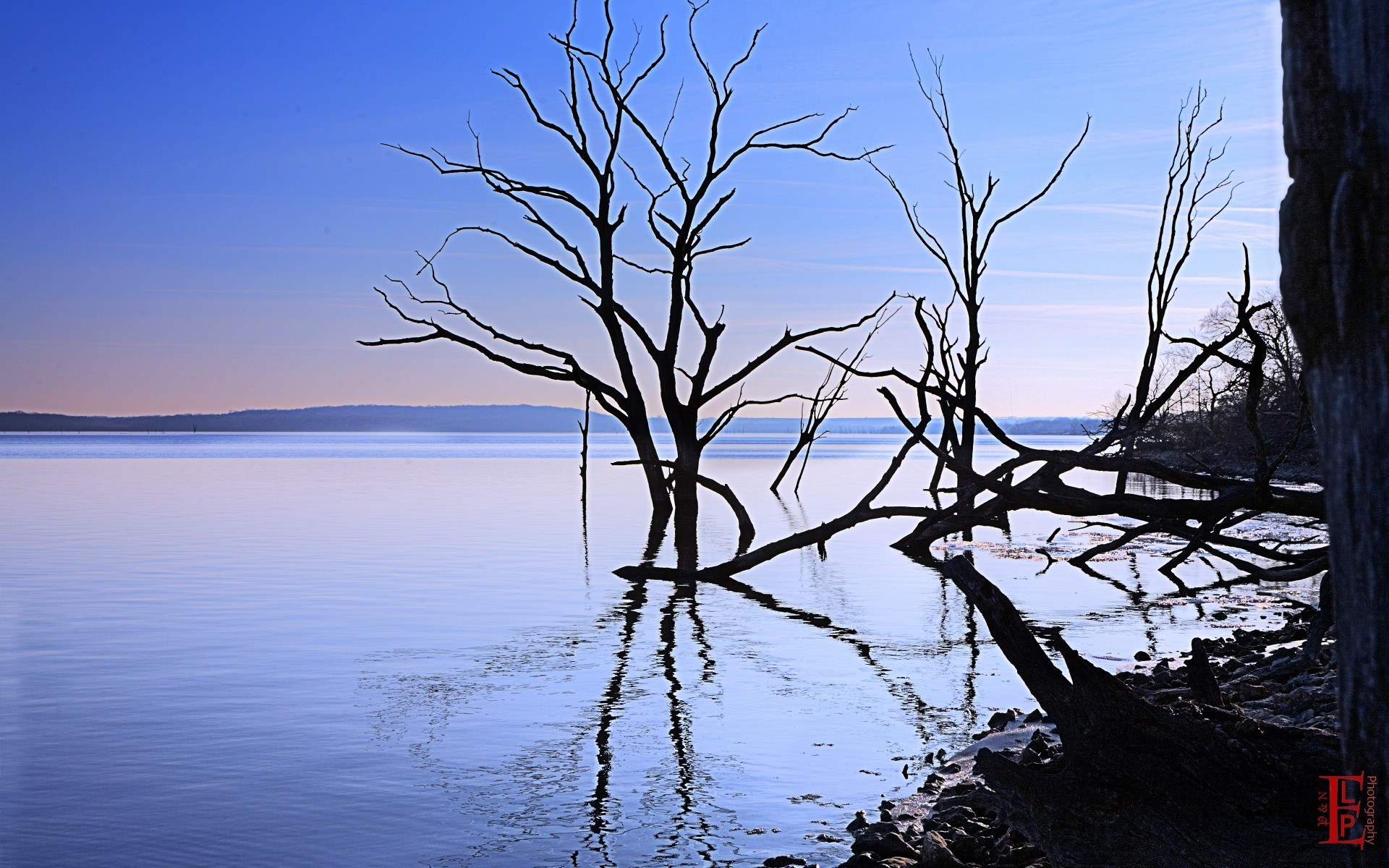 amerika wasser landschaft baum natur himmel dämmerung im freien abend silhouette see holz landschaftlich sonnenuntergang reisen reflexion