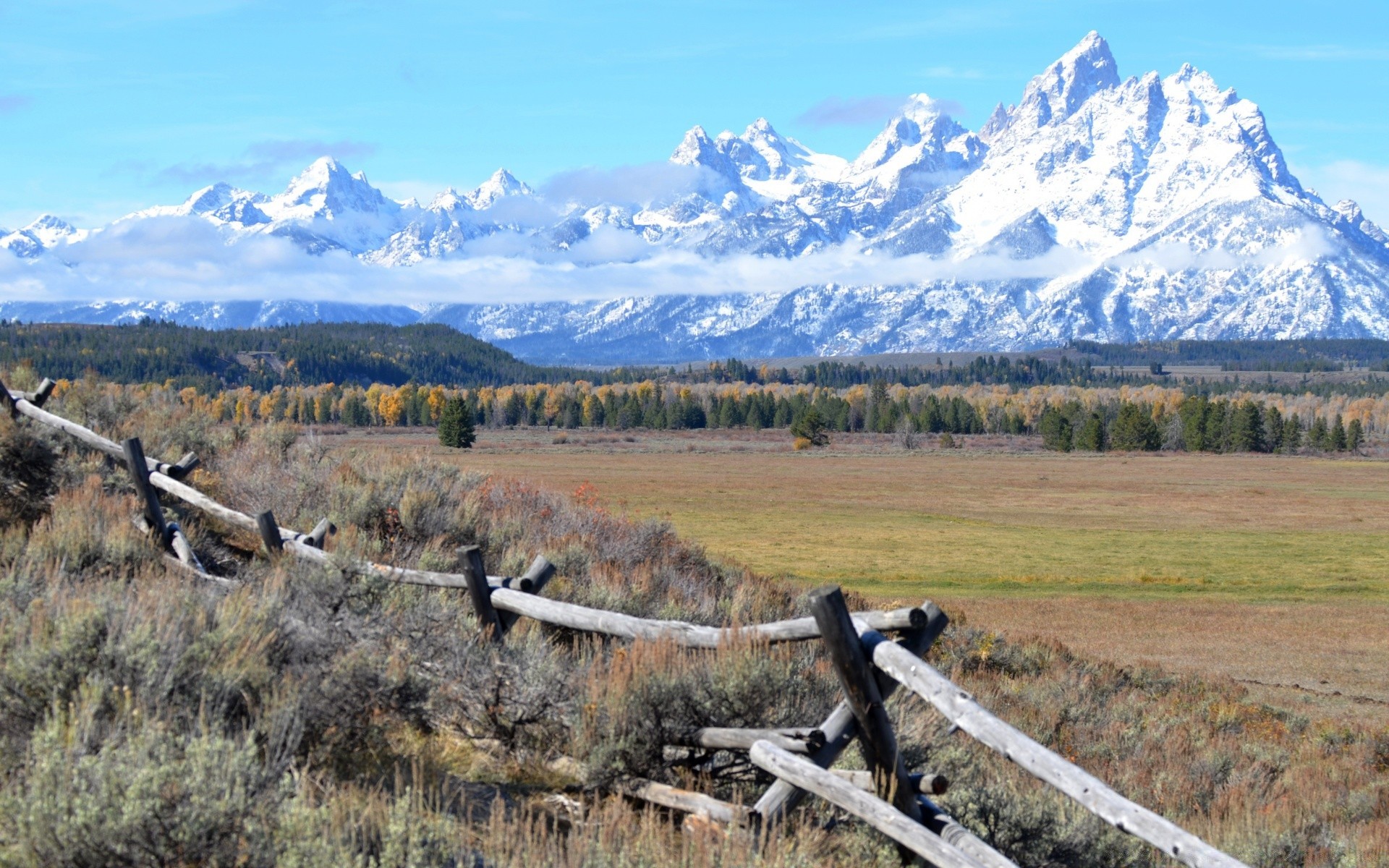 america mountain snow landscape nature outdoors wood sky scenic travel tree winter daylight