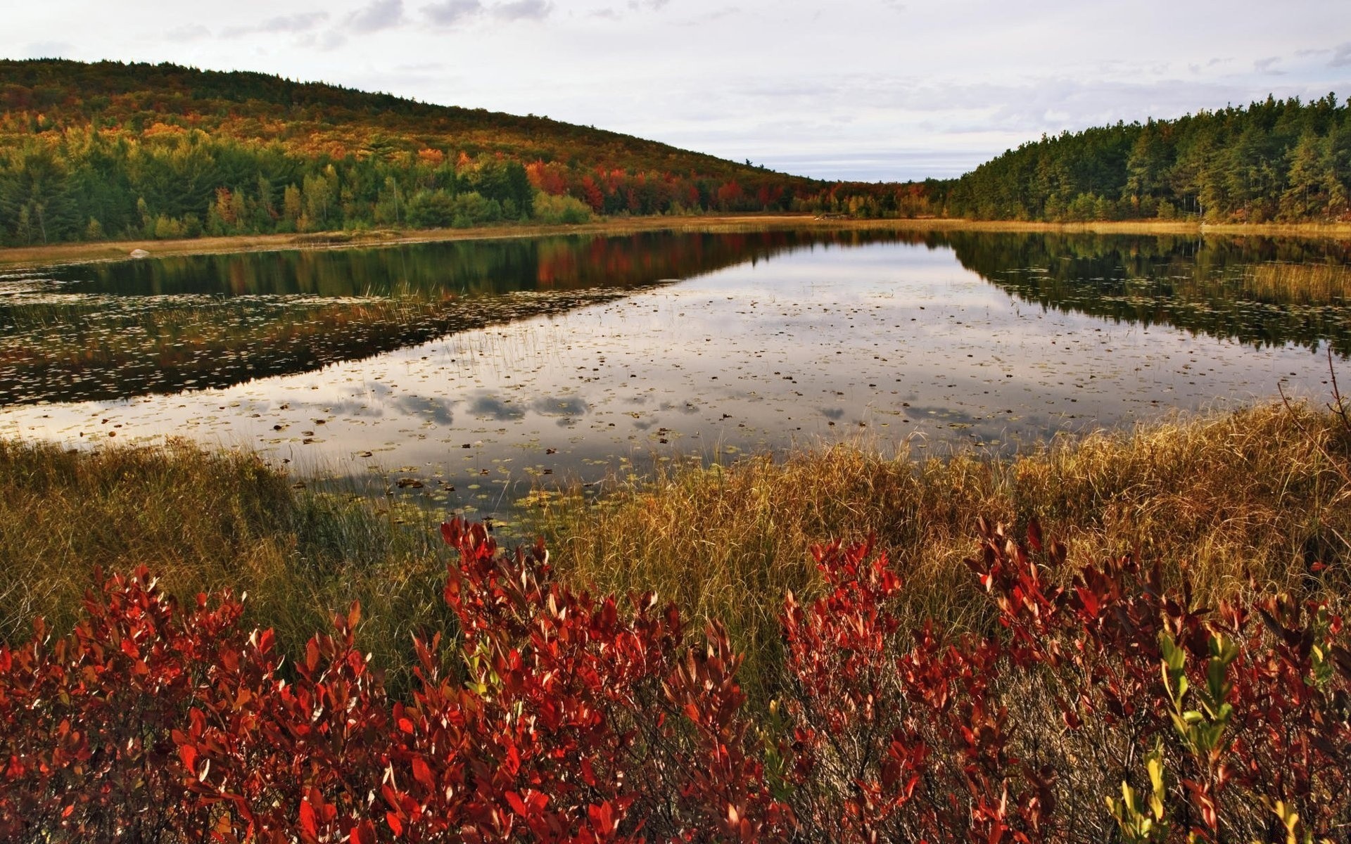 america landscape outdoors water nature travel scenic river sky field