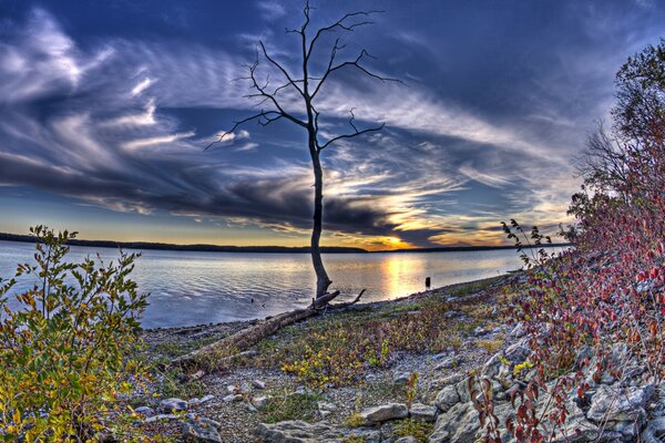 An extraordinary sky on the river with a lonely tree