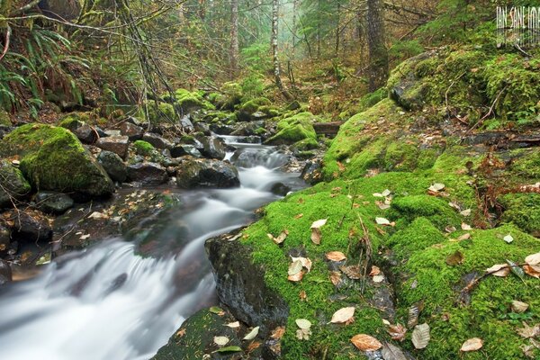 Красота. Водопад в осеннем лесу