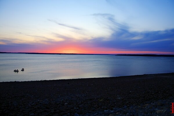 Sunset on the river , ducks are swimming