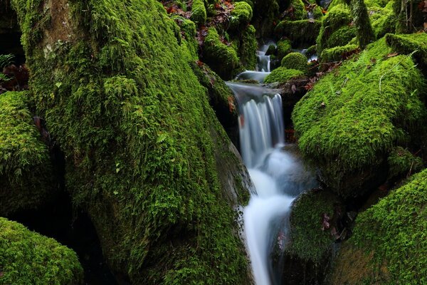 Mountain waterfall in the northern latitudes