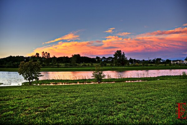 Hermosa naturaleza de verano en el río