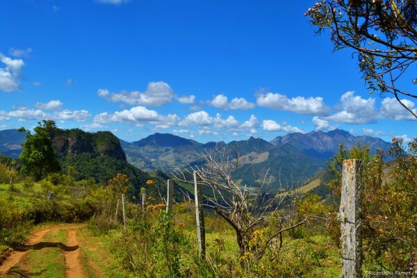 Colorful nature landscape along the road