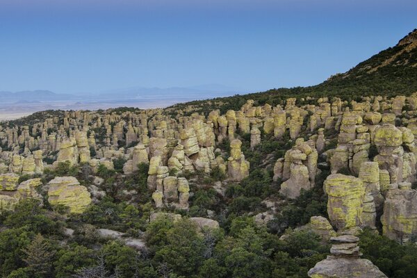 Chiricahua National Heart Rock Monument