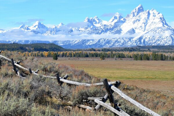 Natura americana sullo sfondo delle montagne