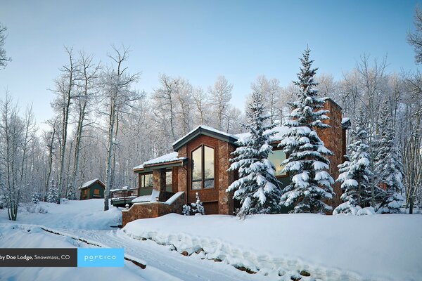 Palacio solitario en medio del bosque de invierno