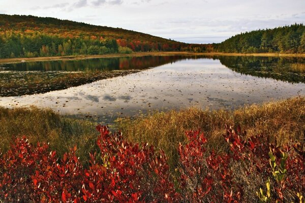 Herbstlandschaft der Natur der Hügel am Fluss