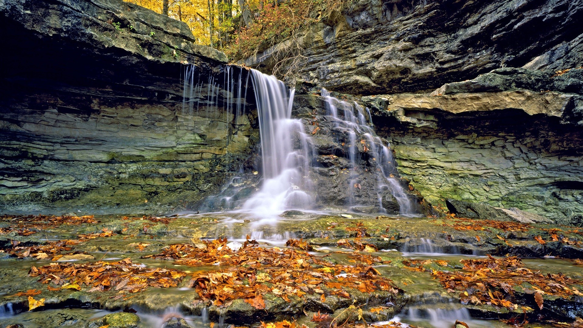 amérique automne eau nature cascade flux feuille rock à l extérieur bois paysage rivière voyage cascade parc ruisseau cri scénique mousse humide