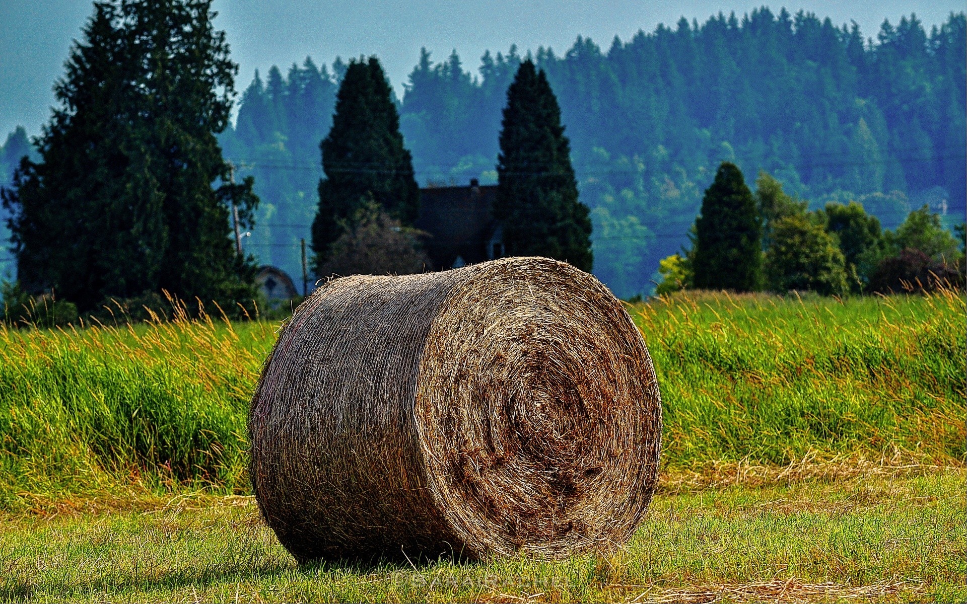 américa paisagem natureza árvore rural feno agricultura madeira campo grama céu país campo fazenda verão ao ar livre pasto nuvem