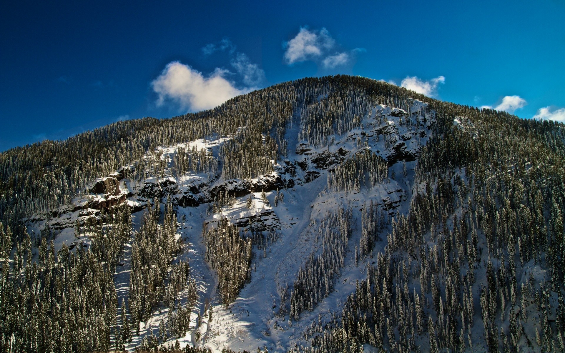 amerika schnee berge winter himmel landschaft natur landschaftlich reisen im freien kälte holz holz hügel tageslicht eis berggipfel jahreszeit