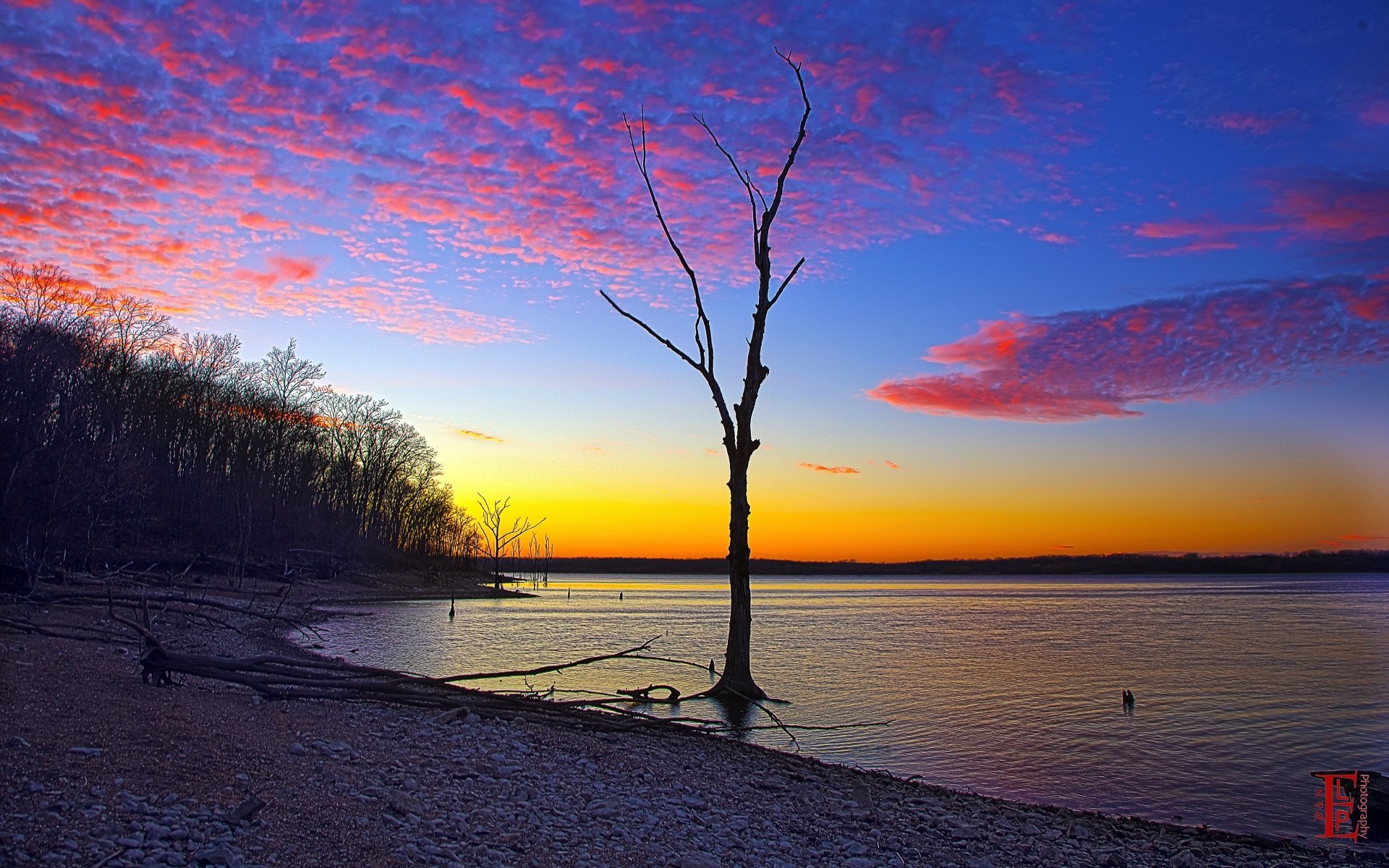 amérique coucher de soleil eau aube soir paysage nature crépuscule ciel arbre soleil plage lac