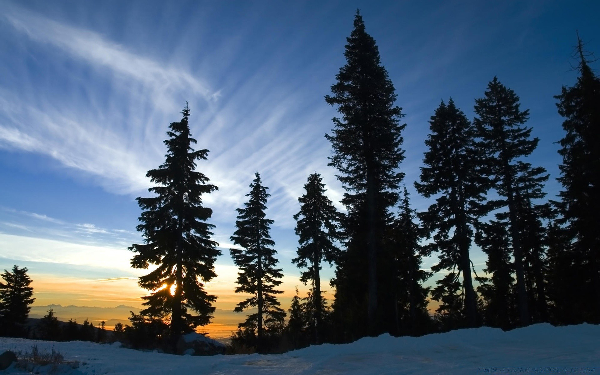 amerika nadelbaum im freien baum evergreen holz landschaft dämmerung schnee natur landschaftlich himmel gutes wetter tageslicht winter berge