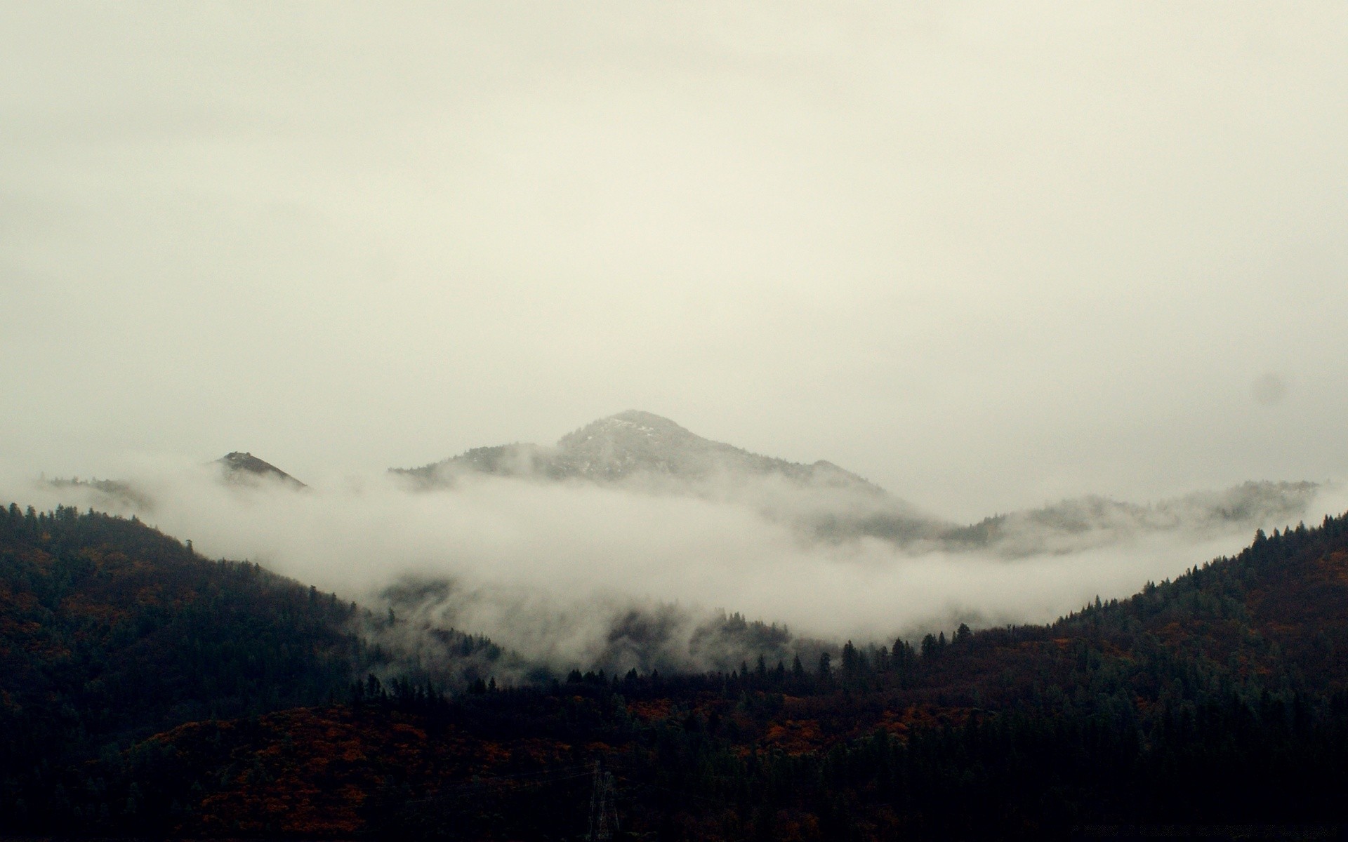 america fog landscape mist mountain sky sunset dawn tree travel snow light nature outdoors fall wood daylight