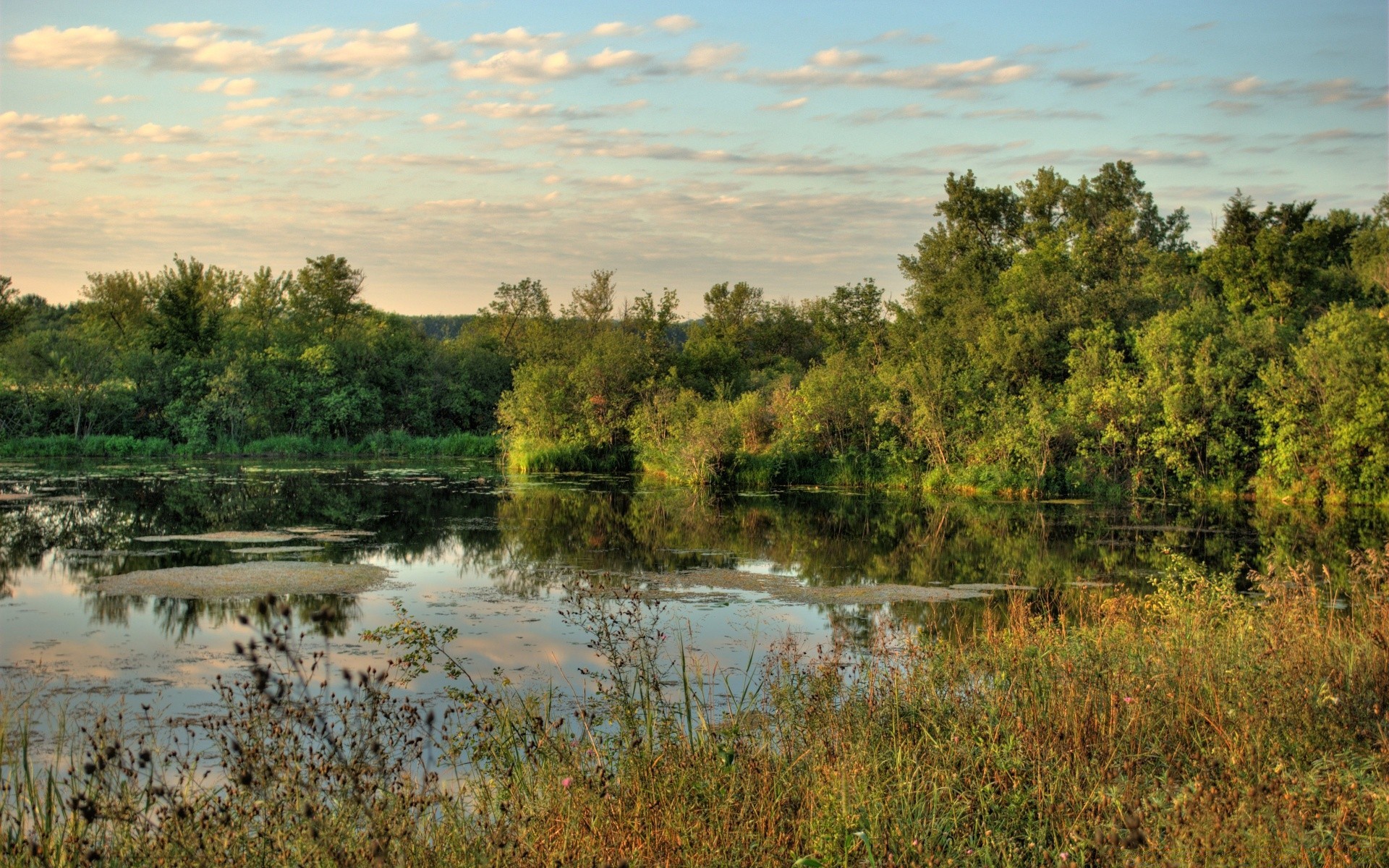 america water landscape tree reflection nature river lake sky outdoors wood scenic travel pool grass dawn environment summer