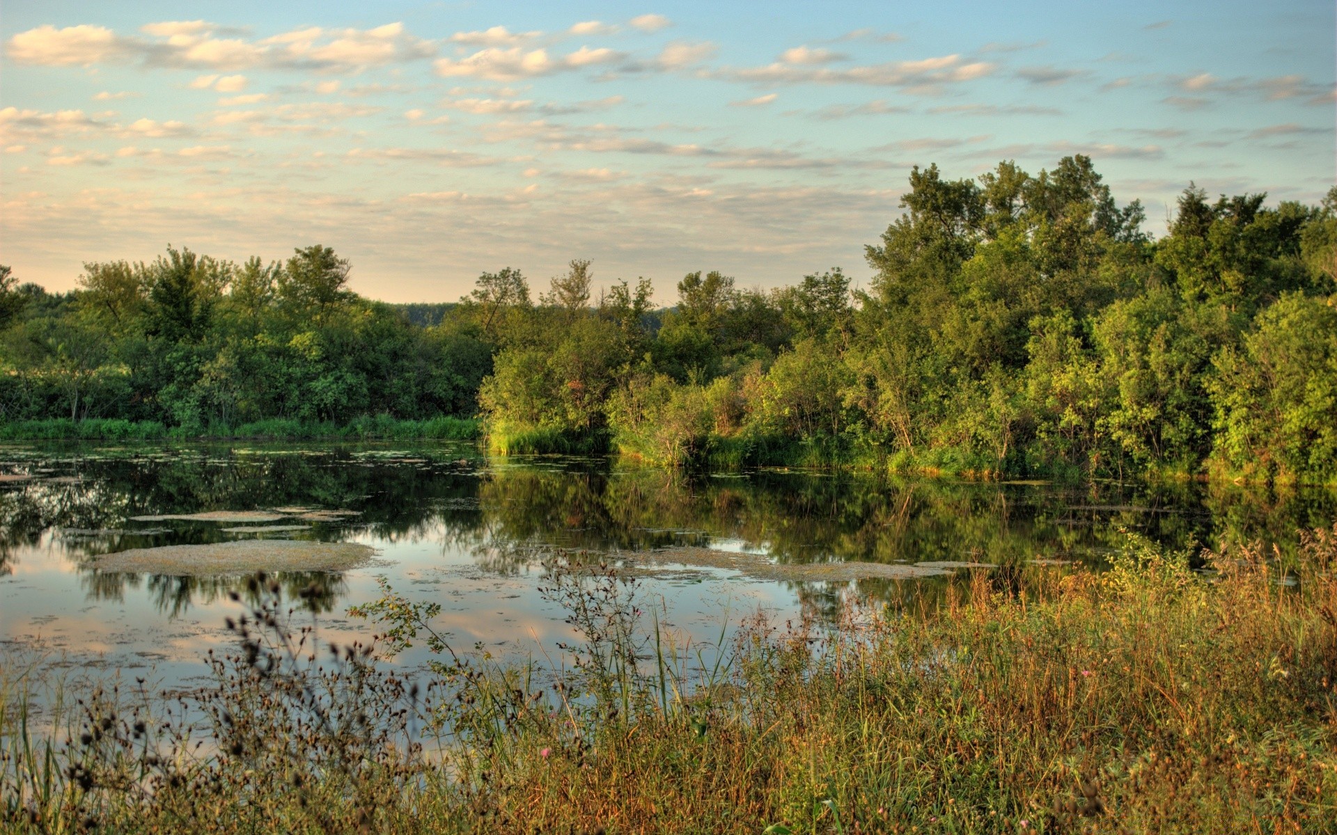 america acqua paesaggio albero riflessione natura fiume lago cielo all aperto legno scenic viaggi piscina erba alba mercoledì estate