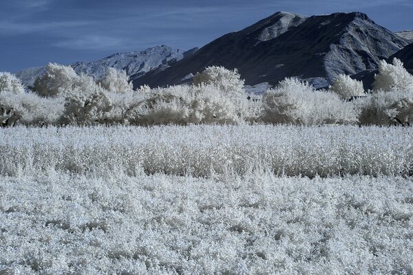 Fotografía de paisaje infrarrojo