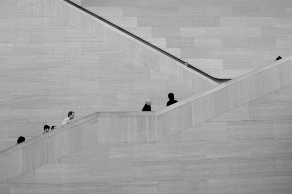 Stairs black and white image