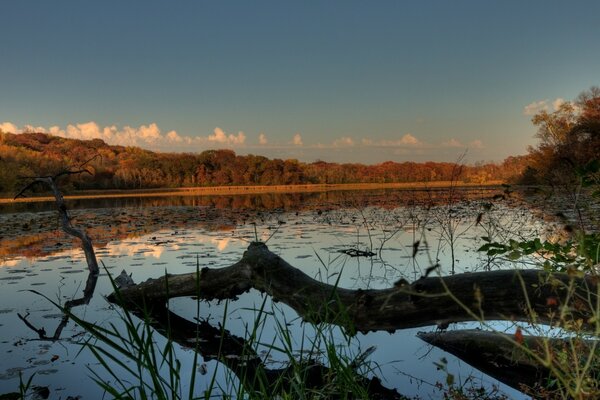 Reflejo de la orilla opuesta en el río