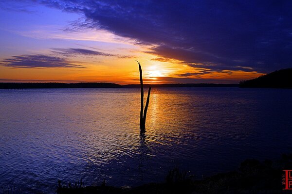 Un tronco de árbol solitario que se eleva sobre el agua del lago en el fondo de la puesta de sol