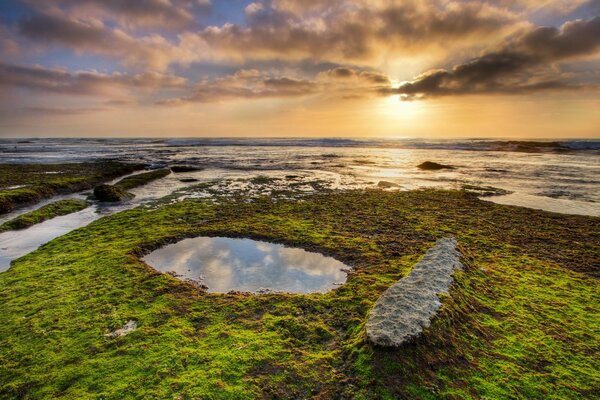 Dawn over the mossy shore of the sea