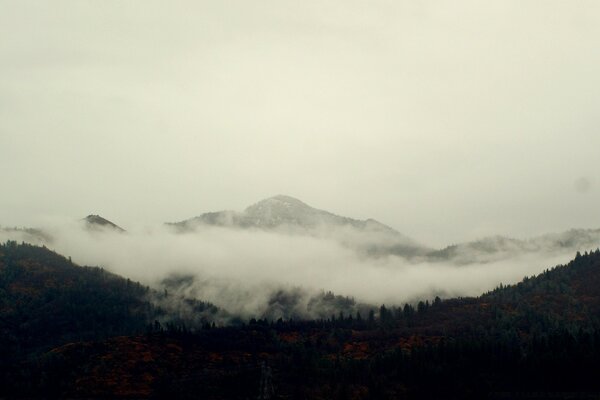 Montagnes dans le brouillard. paysage de montagne