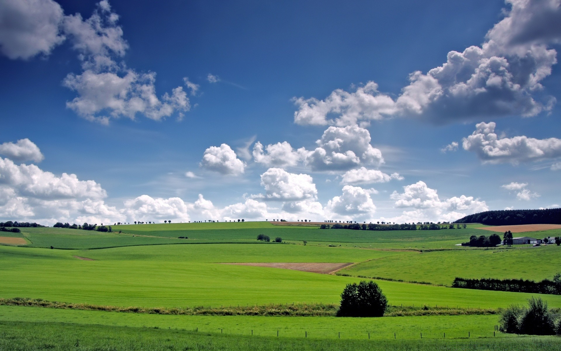 landscapes agriculture rural landscape countryside pasture farm grass field farmland sky nature outdoors hayfield summer cropland country tree soil cloud