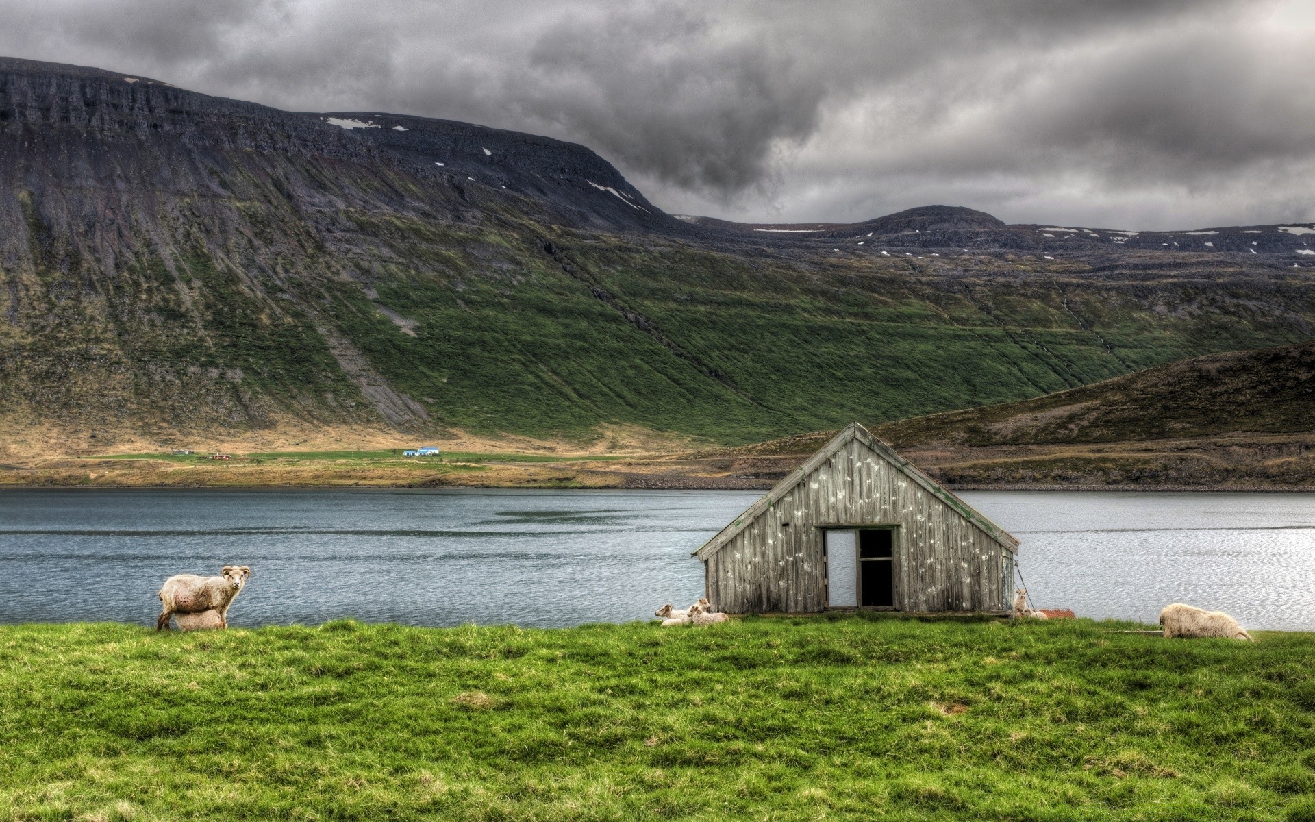 landscapes water landscape sheep lake outdoors travel grass sky mountain farm nature river countryside scenic