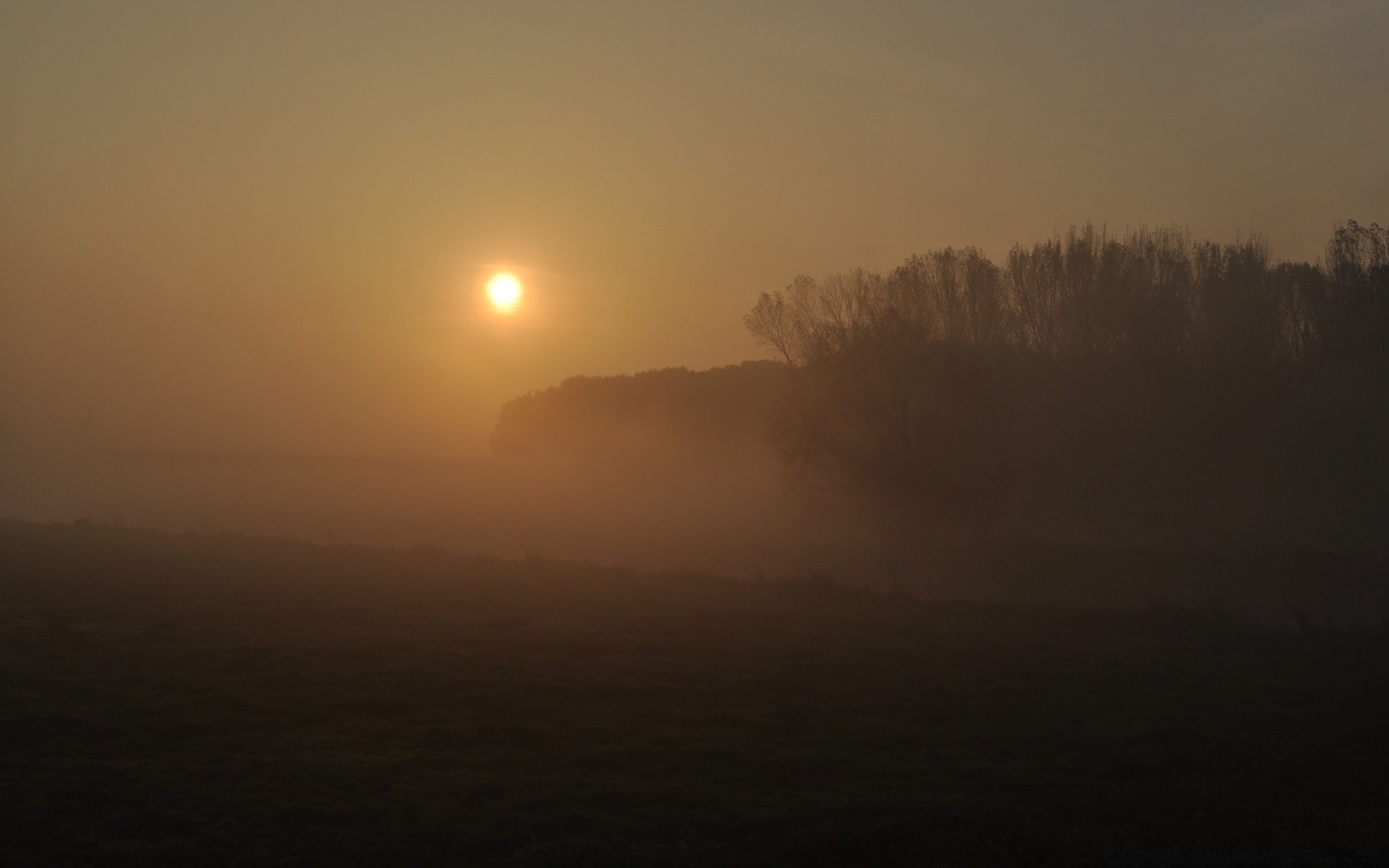 landschaft sonnenuntergang dämmerung nebel hintergrundbeleuchtung abend landschaft sonne nebel dämmerung silhouette licht himmel baum wetter mond gutes wetter natur im freien see