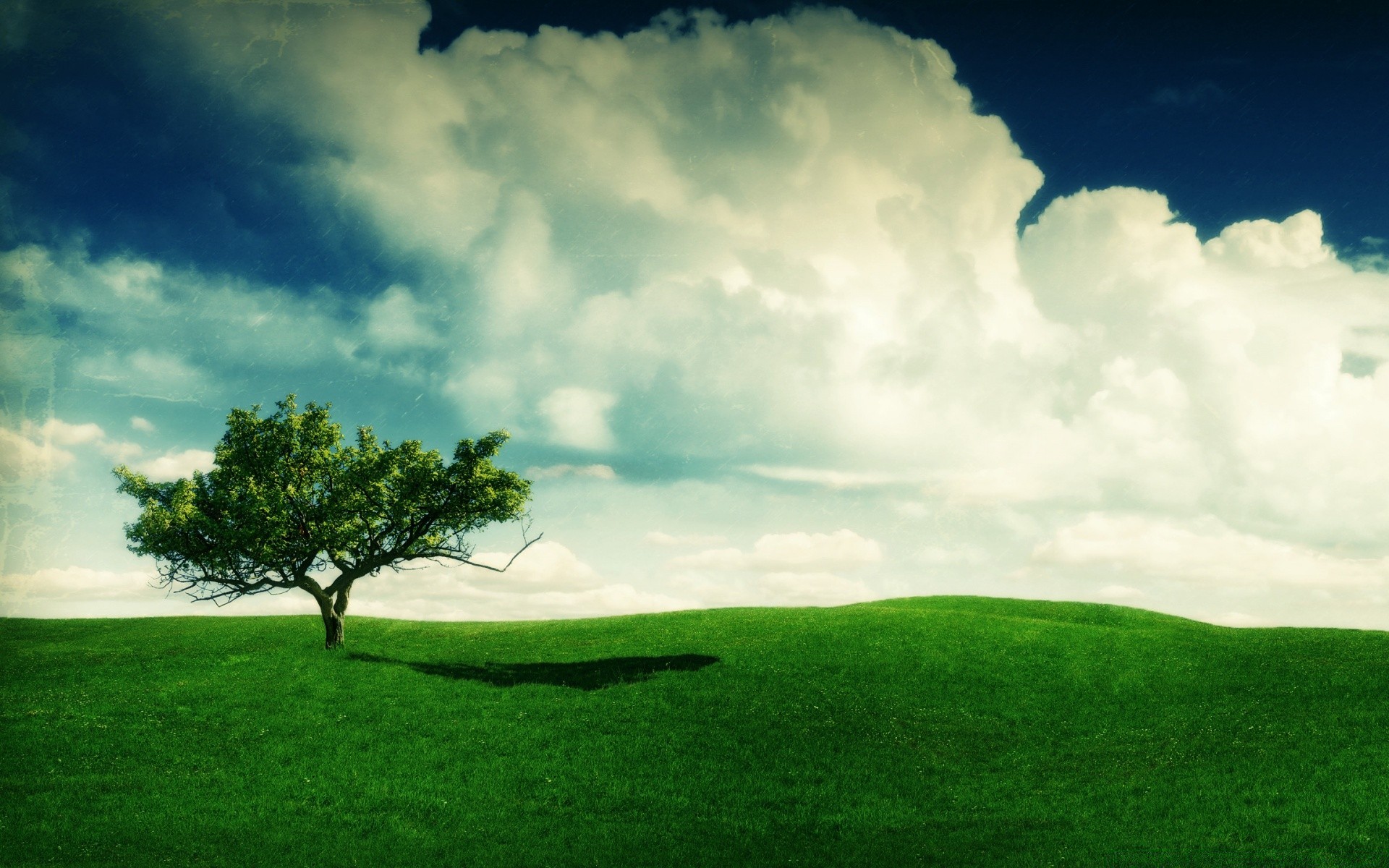 paesaggio paesaggio erba albero campo fieno natura cielo pascolo campagna all aperto nuvola rurale suolo pascolo orizzonte