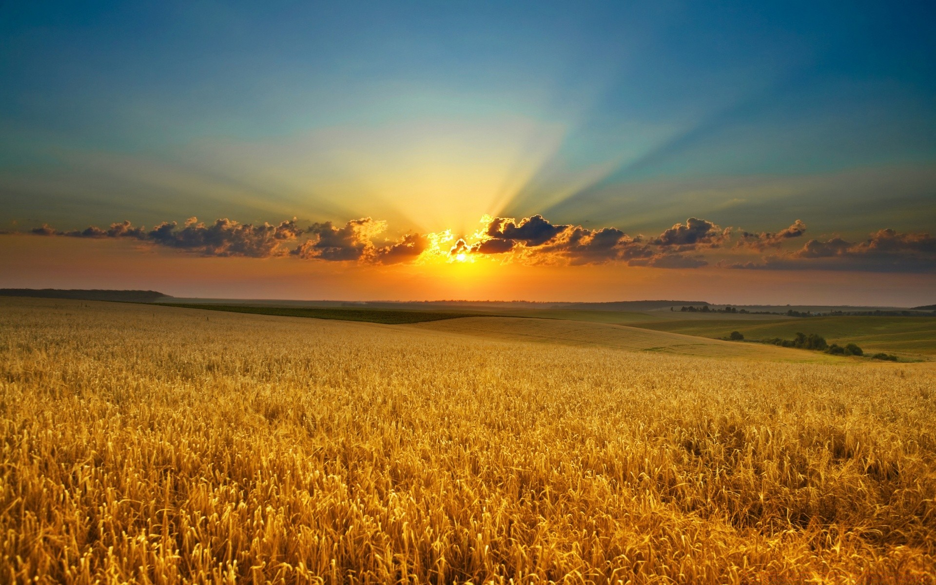 paysage blé céréales agriculture paysage coucher de soleil rural pâturage maïs aube récolte ferme champ ciel campagne extérieur soleil terres cultivées pain