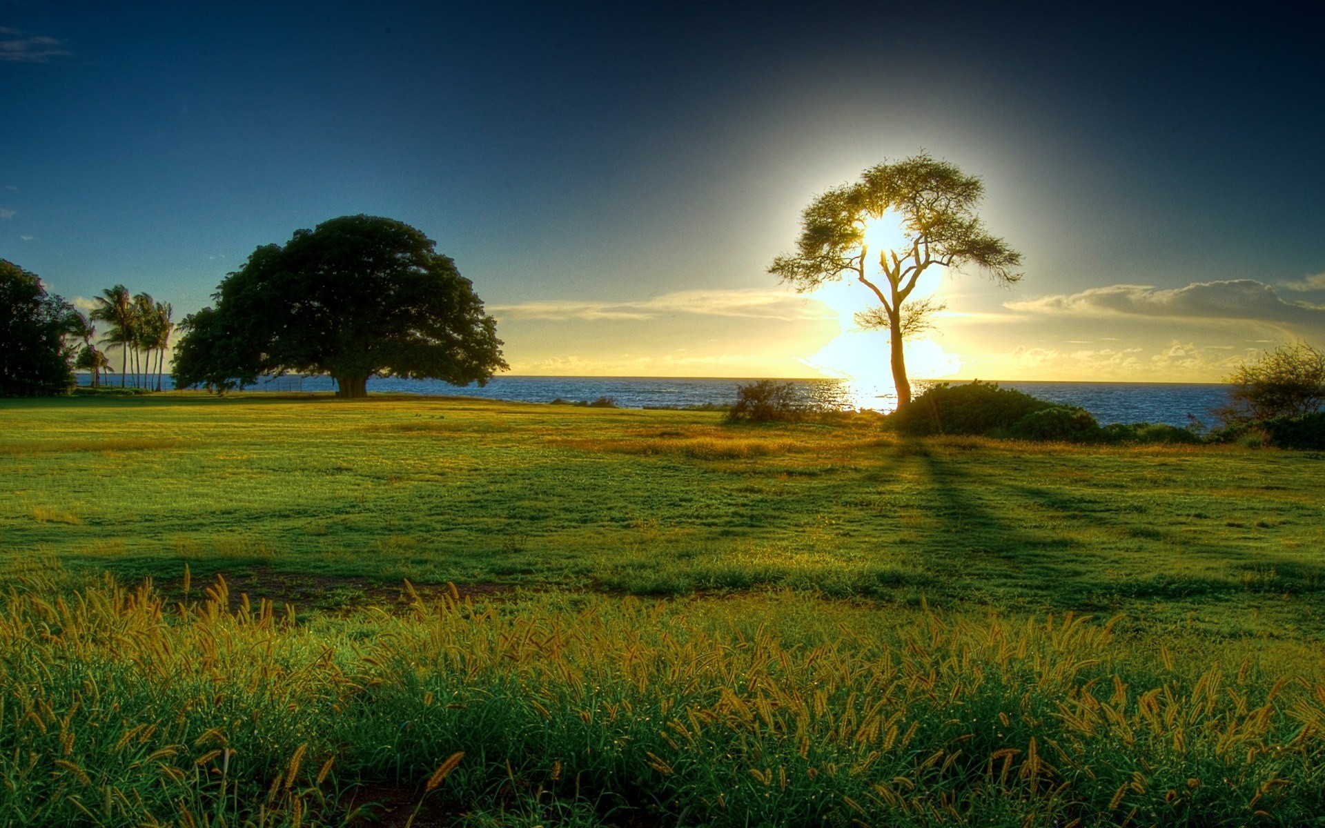 landschaft landschaft sonnenuntergang natur dämmerung gras feld sonne baum himmel im freien des ländlichen raumes gutes wetter landschaft landwirtschaft sommer abend bauernhof