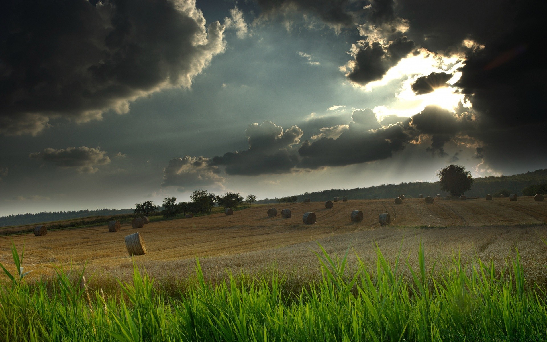 paysage paysage coucher de soleil ciel agriculture nature champ aube herbe campagne rural terres cultivées pâturage soleil à l extérieur ferme blé beau temps été pâturage