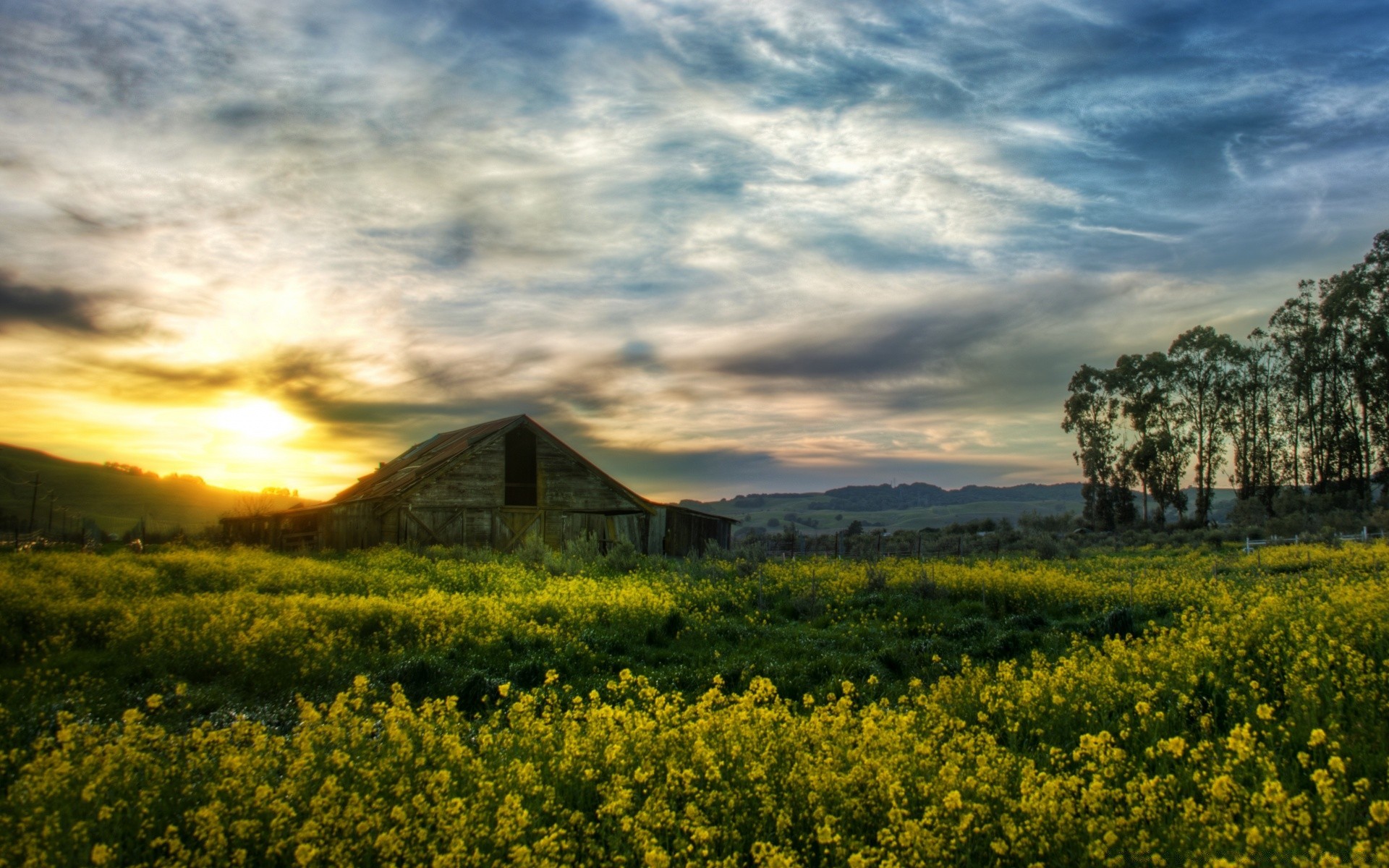 paysage paysage agriculture champ ciel ferme nature foin à l extérieur nuage rural scénique campagne arbre herbe pays coucher de soleil récolte terres cultivées fleur