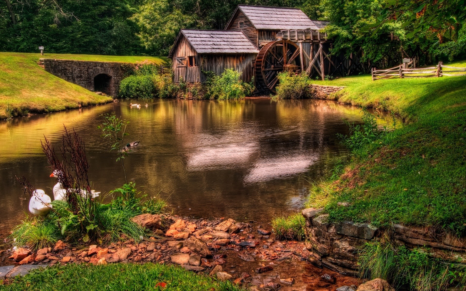 landscapes water wood nature river outdoors landscape grass bridge tree rural travel fall lake leaf countryside pool summer rustic scenic