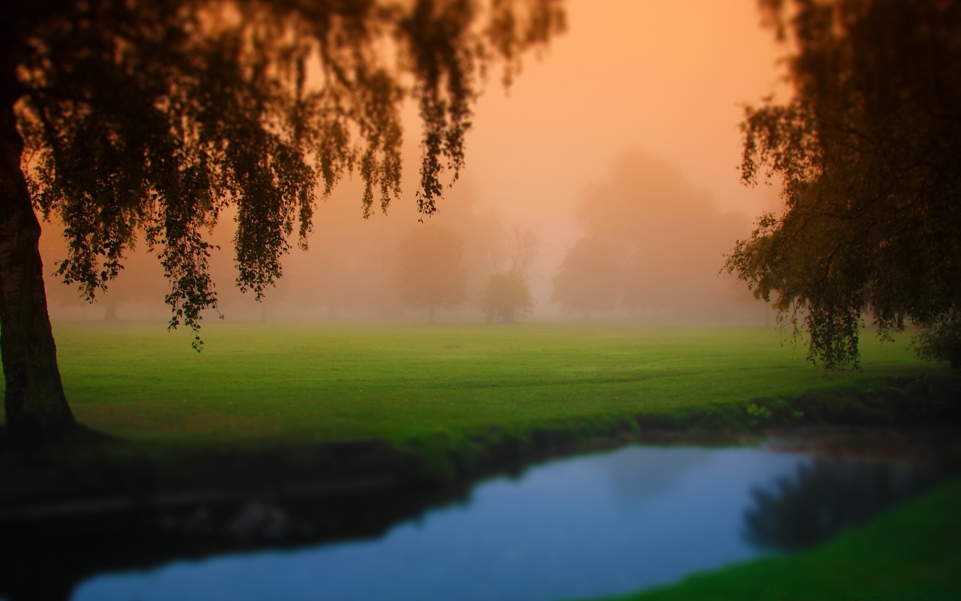 landschaft dämmerung golf landschaft baum natur nebel nebel im freien gras sonne wasser sonnenuntergang gutes wetter see holz reflexion sommer himmel abend