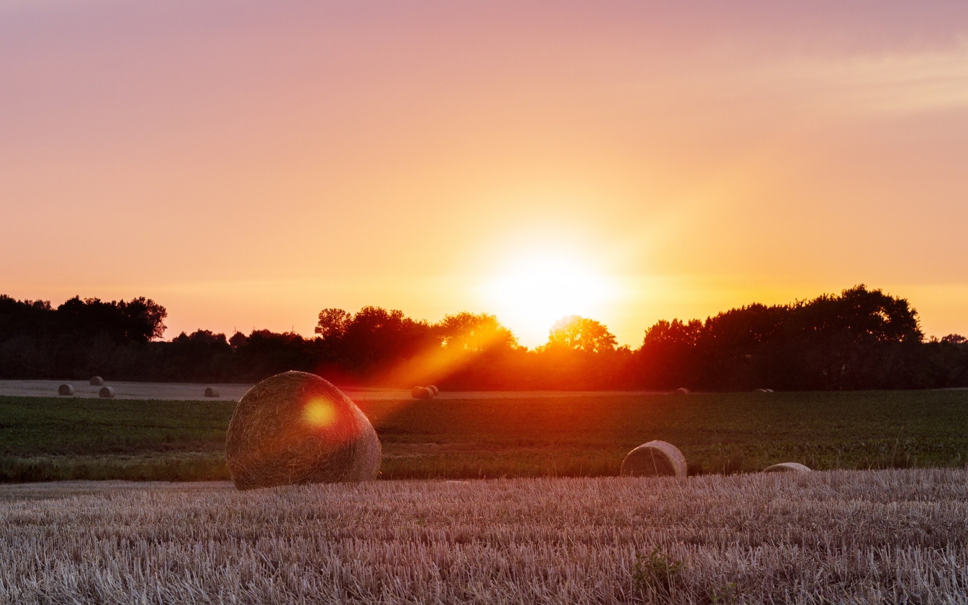 landschaft sonnenuntergang dämmerung landschaft sonne abend natur feld herbst des ländlichen landwirtschaft himmel bauernhof dämmerung landschaft gras im freien weide gutes wetter licht