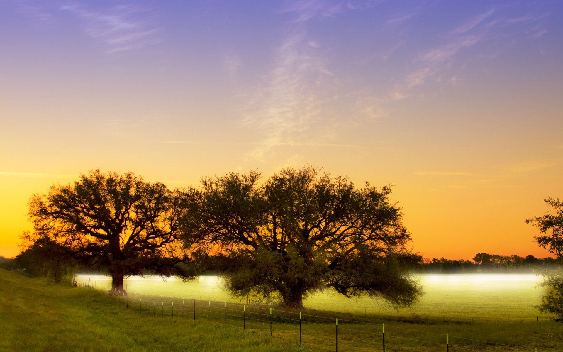 paysage aube paysage coucher de soleil arbre soleil nature ciel herbe soirée campagne automne brouillard rural à l extérieur beau temps lumière crépuscule brouillard champ