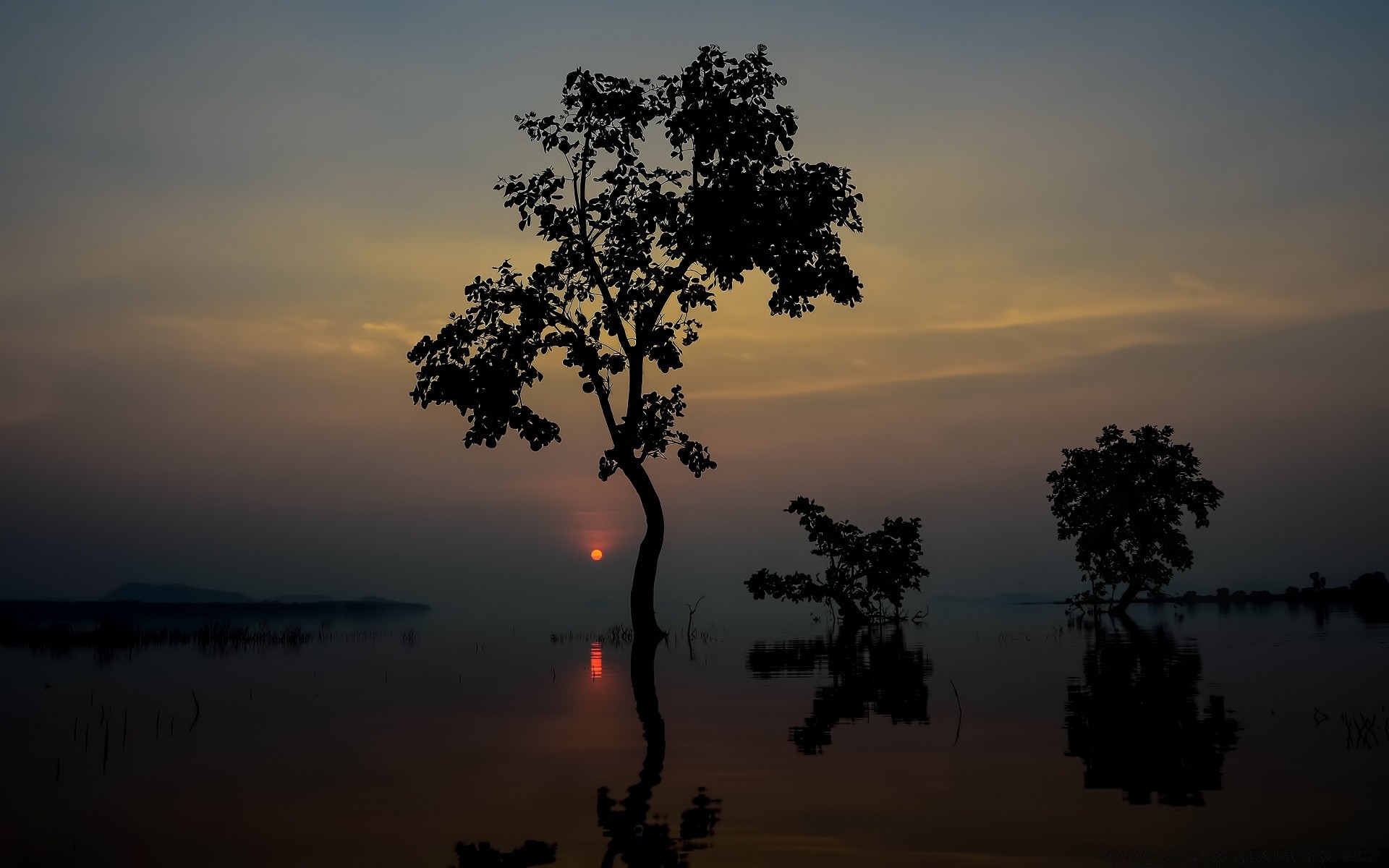 paisaje puesta de sol árbol amanecer silueta paisaje iluminado noche sol agua cielo crepúsculo naturaleza al aire libre