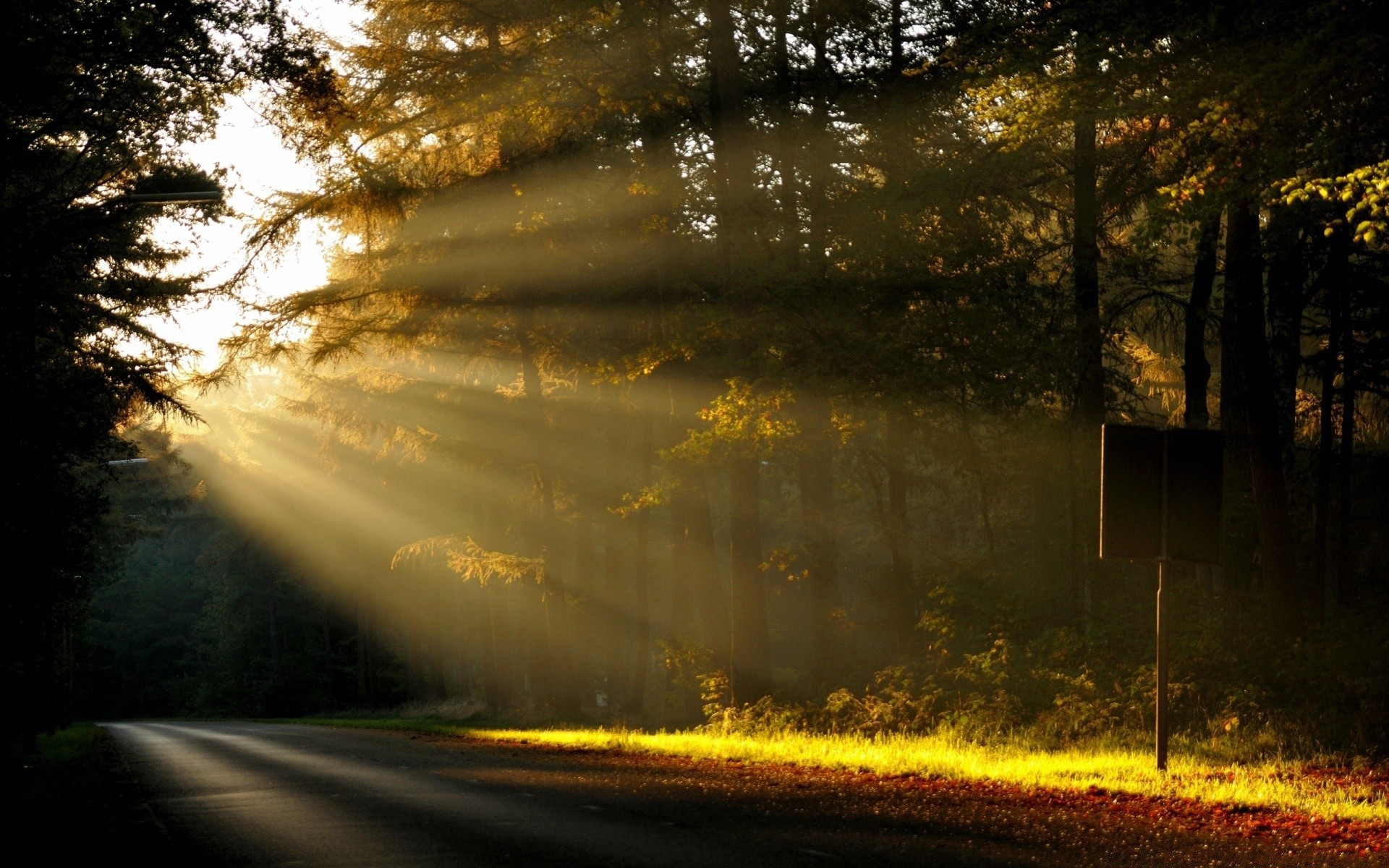 paisaje carretera árbol luz paisaje oscuro amanecer naturaleza otoño sol noche madera puesta de sol calle niebla