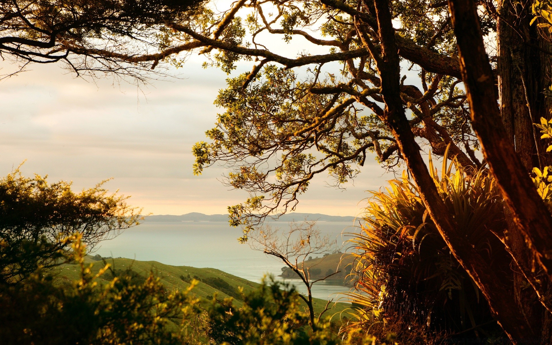 paisaje árbol paisaje naturaleza puesta de sol amanecer al aire libre sol madera hoja buen tiempo otoño cielo luz noche iluminado escénico