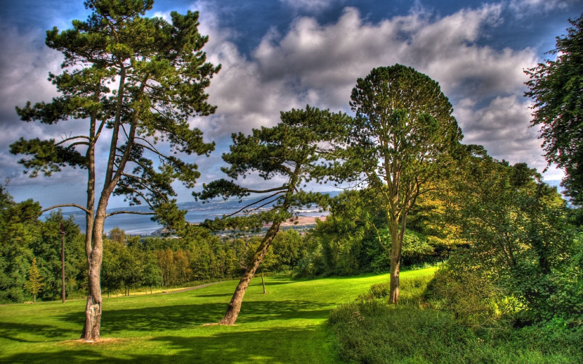 paisaje árbol paisaje hierba naturaleza madera al aire libre cielo verano rural parque escénico campo buen tiempo heno hoja flora medio ambiente sol