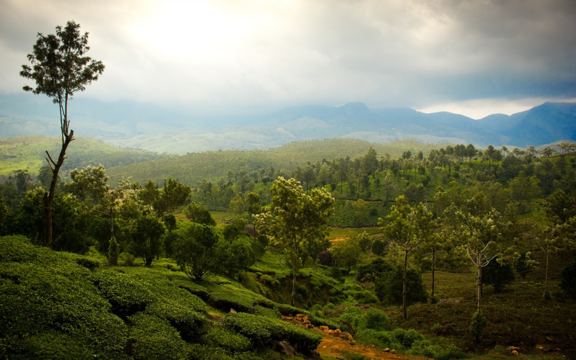 paisaje paisaje árbol montaña naturaleza viajes cielo madera al aire libre colina puesta de sol niebla escénico amanecer selva tropical verano