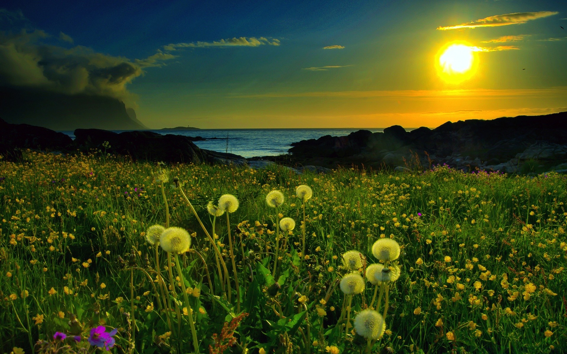 paysage nature paysage soleil champ herbe été fleur foin aube coucher du soleil beau temps rural à l extérieur pâturages