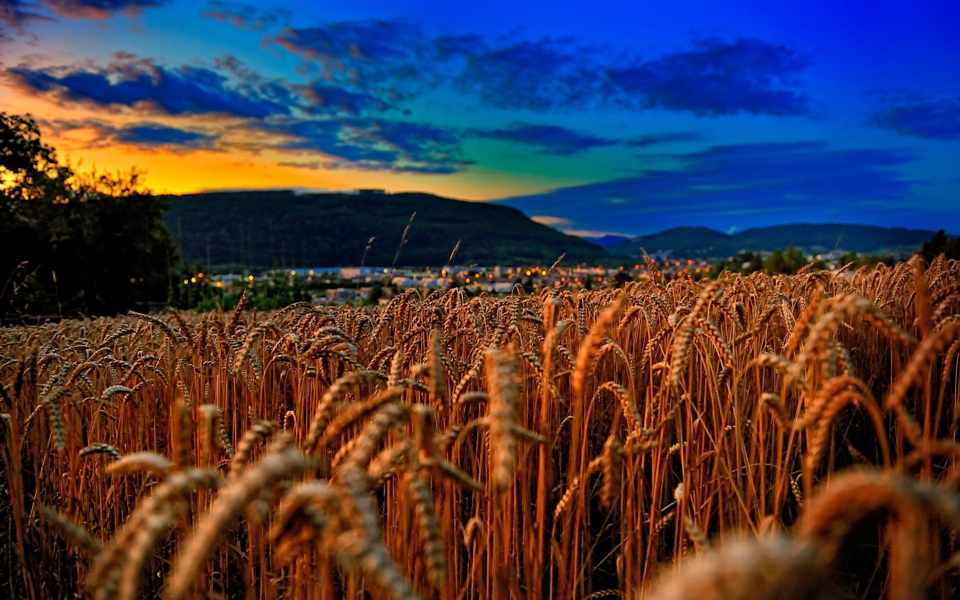 paesaggio cereali grano agricoltura all aperto raccolto paesaggio oro mais fattoria sera pascolo cielo natura pane rurale terra coltivata tramonto campo