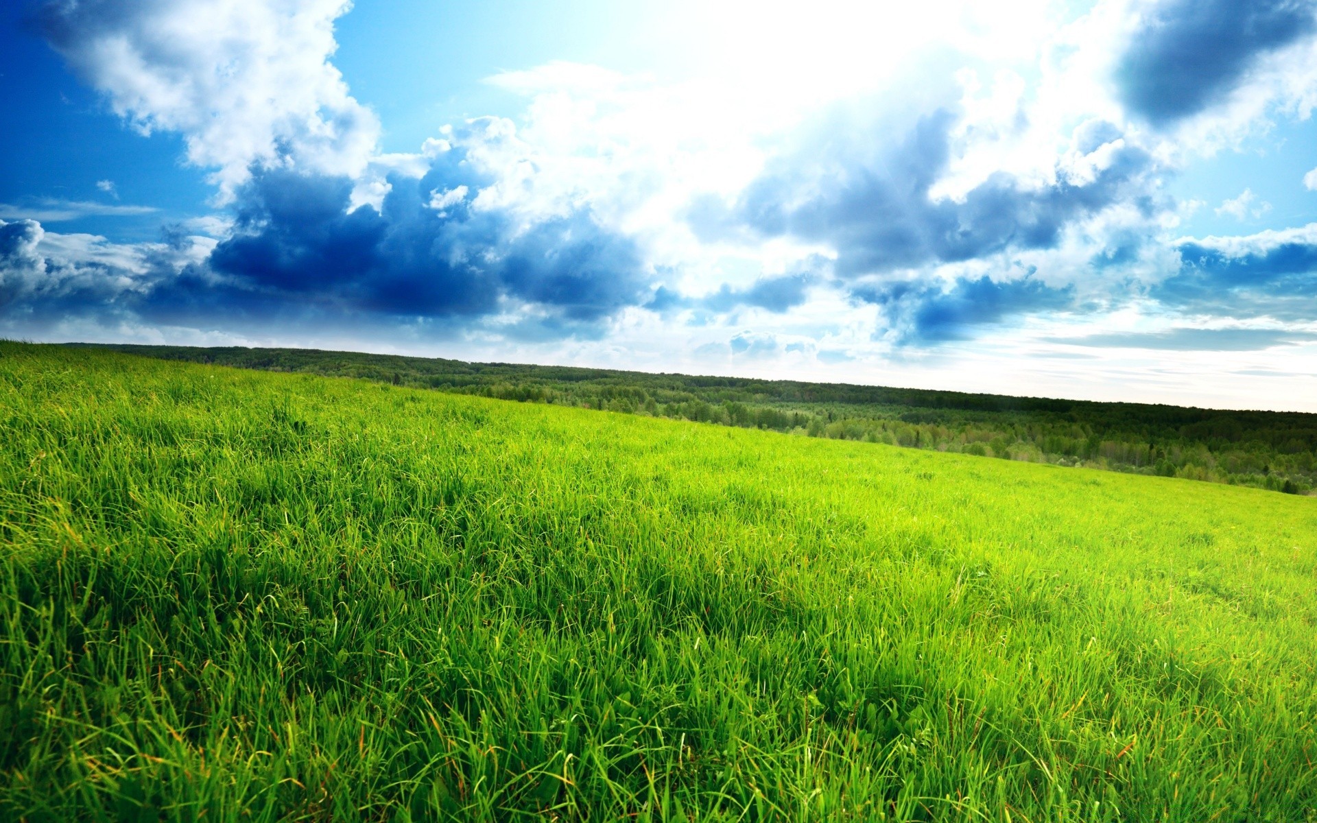 landscapes field landscape hayfield grass nature rural summer horizon agriculture flora soil farm sky cloud growth season pasture country countryside scene