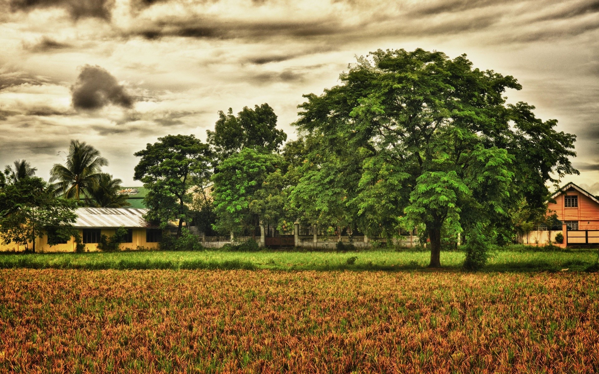 landschaft baum landwirtschaft bauernhof landschaft bebautes land feld natur des ländlichen des ländlichen raums gras land im freien sommer reisen flora