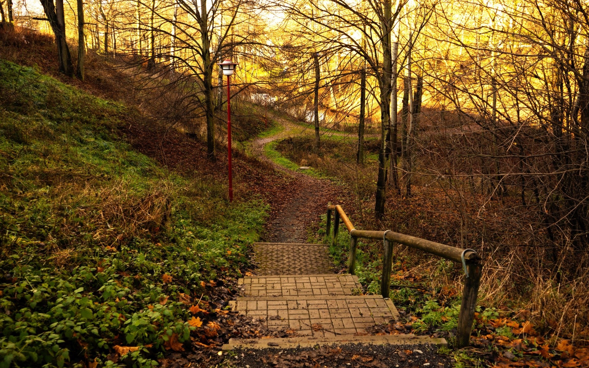 paysage automne route feuille bois paysage guide arbre sentier sentier nature parc banc à l extérieur promenade