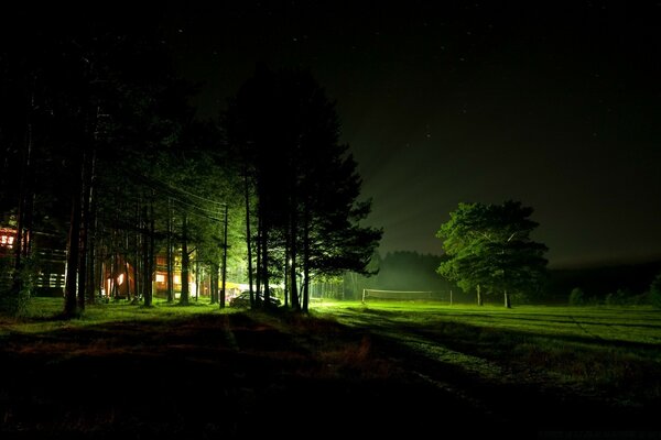 Evening landscape. Night illumination